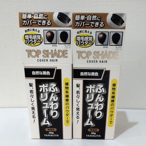 柳屋本店 トップシェード カバーヘアー 35g × 2