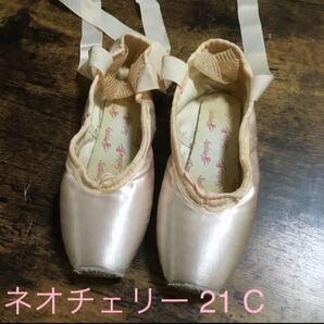 aシルビア トゥシューズ ネオチェリー21C