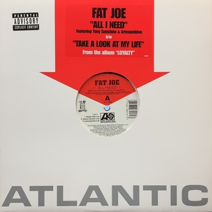 FAT JOE / All I Need / Take A Look At My Life