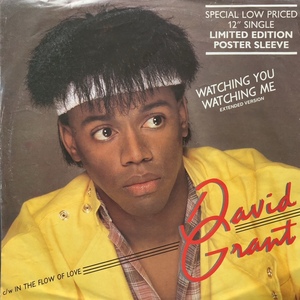 DAVID GRANT / Watching You Watching Me (Extended Version)