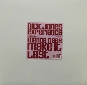 NICK JONES EXPERIENCE / MAKE IT LAST