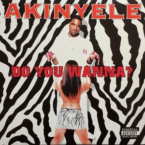 AKINYELE / DO YOU WANNA?