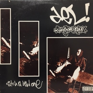 DEL THE FUNKY HOMOSAPIEN / CATCH A BAD ONE