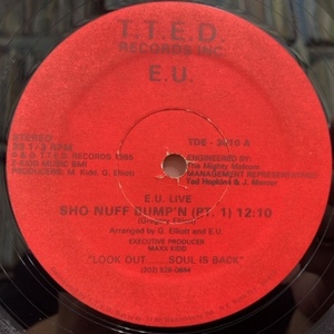 EXPERIENCE E.U. UNLIMITED / Sho Nuff Bump'n