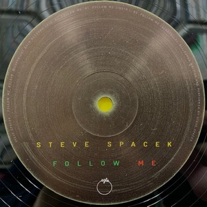 STEVE SPACEK / Follow Me