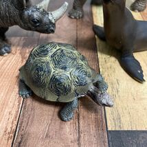 Schleich【シュライヒ 】動物フィギュア 象　サイ　カメ　オットセイ　計4体セット_画像5