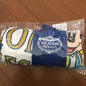 TOKYO DESNEY RESORT ブランケット