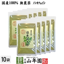 健康食品 国産無農薬100% 日本山人参 粉末 ヒュウガトウキ 50g×10袋セット 宮崎県産ノンカフェイン 送料無料_画像1