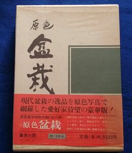 ●●　原色 盆栽　（園芸植物大観１）　村田憲司・村田圭司共著　1971年2版　集英社　B0405P38