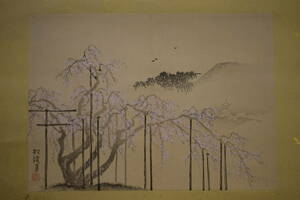 Art hand Auction [Reproducción] // Shokei/Torre/Flores de cerezo llorones/Pintura dorada/Manualidades/Pergamino colgante Hoteiya HI-792, Cuadro, pintura japonesa, Paisaje, viento y luna