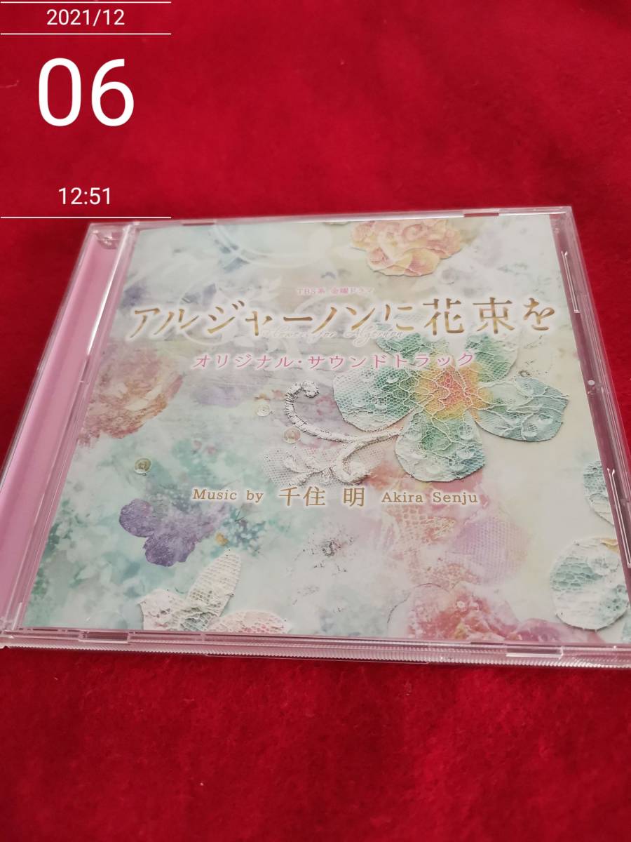 Amazon.co.jp: TBS系 金曜ドラマ「アルジャーノンに花束を