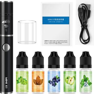 電子タバコ 充電ケース付 vape 禁煙グッズ パイポ 水蒸気 プルームテック カートリッジ4本とバッテリー1本付き 大容量