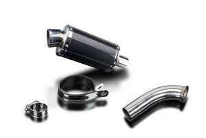 DELKEVIC スリップオンカーボンオーバルマフラー★BMW F800S 2006-2011 225mm KIT03H3