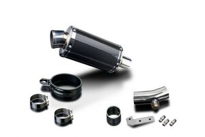 DELKEVIC スリップオンカーボンオーバルマフラー★KAWASAKI ER6F / EX650C / NINJA 650 2009-2011 225mm KIT03BF