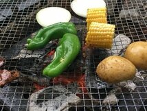 訳あり品！【まとめ売り10枚セット】BBQ 焼き網　30cm×40cm (管理番号No-@ アウトドア）●_画像3