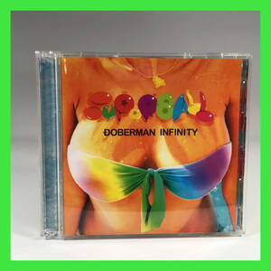 C-373☆　SUPER BALL　DOBERMAN INFINITY　LDH MUSIC　CD＋DVD　EXILE　男性グループ