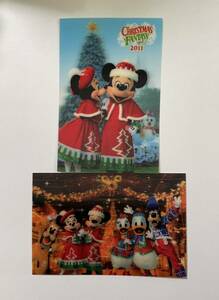実写3D ポストカード　2枚セット　クリスマスファンタジー2011 ミッキー&ミニー　ドナデジ・グープル　ディズニーランド　TDL・TDR