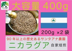 自家焙煎珈琲 ニカラグア サンタ・アナ農園 400g 珈琲