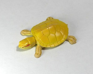 ヤフオク アルビノミドリガメ の落札相場 落札価格 ヤフオク アルビノミドリガメ の落札相場 落札価格