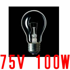 電球 | (バラ×1個) 耐振電球 クリア 75V 100W E26口 白熱電球【夜店用】【露店用】【イベント用】