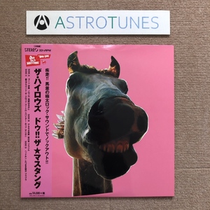  unused High-Lows High-Lows 2020 year 2 sheets set LP record dou!! The * Mustang Do!!The*Mustang name record domestic record with belt J-Rock.book@hiroto