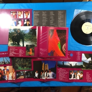 美盤 デュラン・デュラン Duran Duran 1982年 LPレコード カーニバル Carnival 国内盤 Euro rockの画像5