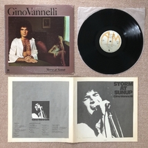 美盤 ジノ・ヴァネリ Gino Vannelli 1979年 LPレコード 夜明けの嵐 Storm At Sunup 国内盤 AOR Ross Vannelli Sally Stevens_画像5