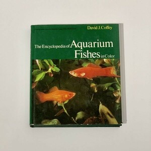 熱帯魚 写真集 洋書 アクアリウム 水族館