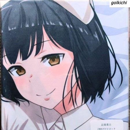 新品未開封】正規品 浅黄ムツキ 抱き枕カバー 特別版 ダーネル