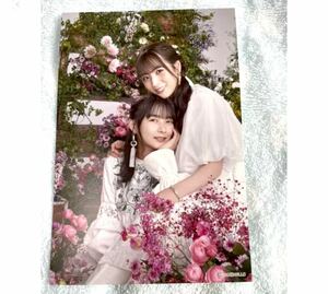 Art hand Auction ◎Nogizaka46 Postal de productos oficiales 1 pieza Ayane Suzuki Hinako Kitano 2022 (Kimi ni regañó el bono de calendario de estilo fotográfico en bruto no está a la venta luckybag, na línea, de, Nogizaka46