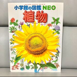 植物 小学館の図鑑NEO