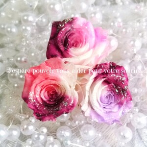 加工花材* フェミニン ローズ プリザーブドフラワー 花材