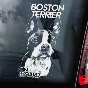 ◆送料無料【ボストンテリア】外張り カーステッカー デカール220X100mm 外貼り カー ステッカー 車 DOG ON BOAD 犬 D1 2645