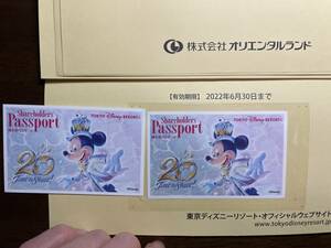 東京ディズニーリゾート　ディズニーランドディズニーシー共通パスポート　大人2枚　2022年6月30日まで