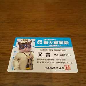 【なめ猫】　なめんなよカードコレクション バラエティ　パロディ　おもしろカード　猫　ネコ　猫天堂病院　医師登録証明カード