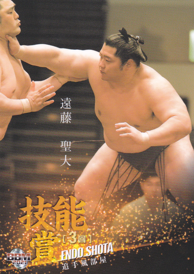 激レア 石川県相撲連盟記念誌 大会パンフレットセット 日本最大級の