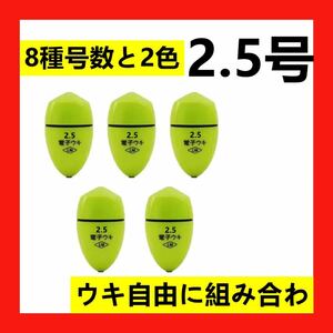 5個2.5号 電気ウキ 電子ウキ ふかせウキ 円錐ウキ どんぐりウキ