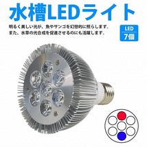 7LED 交換電球 スポットライト 14W 青1/赤1/白5 E26 水槽 照明 水草 サンゴ 熱帯魚 観賞魚 植物育成_画像2