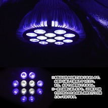 12LED 交換電球 スポットライト 24W(2W×12) 青8/白4 E26 水槽 照明 水草 サンゴ 熱帯魚 観賞魚 植物育成_画像4