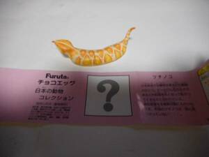  chocolate egg japanese animal * classic *tsuchinoko*SC