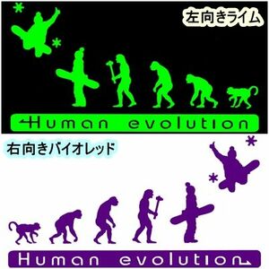 人類の進化 20cm【スノーボード編B】ステッカー DC2