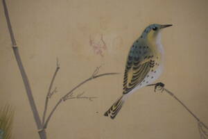 Art hand Auction Hoitsu/豆子的图片, 鸟与麦穗/挂轴☆宝船☆Y-849 J, 绘画, 日本画, 花鸟, 野生动物