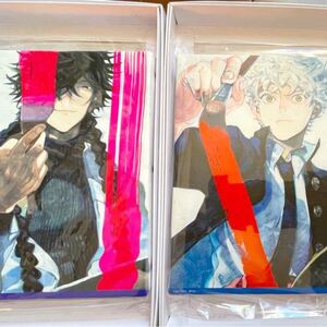 ブルーピリオド 11巻 キャンバスアート TSUTAYA 有償特典 矢口矢虎 橋田悠
