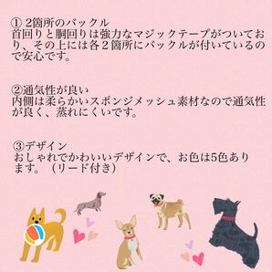 S 2段バックル ハーネス リード セット (グレイ) ドッグウェア ペット服 小型犬 犬服 猫服 おしゃれ ペット用品の画像7