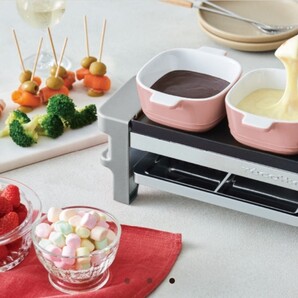 未使用品☆4点セットレコルト ラクレット&フォンデュメーカー メルト