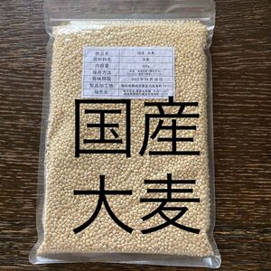 国産　丸麦　500g 大麦　麦ごはんに　雑穀米本舗製