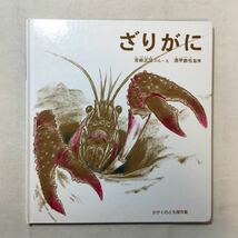 zaa-285♪ざりがに (かがくのとも絵本) 吉崎 正巳 文・絵 / 須甲 鉄也 監修 単行本 1976/4/1 吉崎 正巳 (著)_画像1