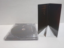 subtilior　absence upon a ground　イタリア チェンバー プログレッシヴ ロック CD_画像4