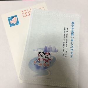 寒中見舞い 10枚 印刷済み 年賀はがき スヌーピー かもめーる 年賀状 インクジェット紙 年賀ハガキ
