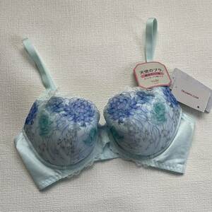 1 point only! new goods [to Lynn p]D65 pastel blue angel. bla magic. is li feeling 526 regular price 6490 jpy bra inner 